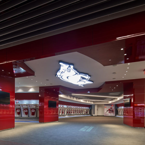 Arkansas Razorbacks Football Lockers - SHIELD Lockers